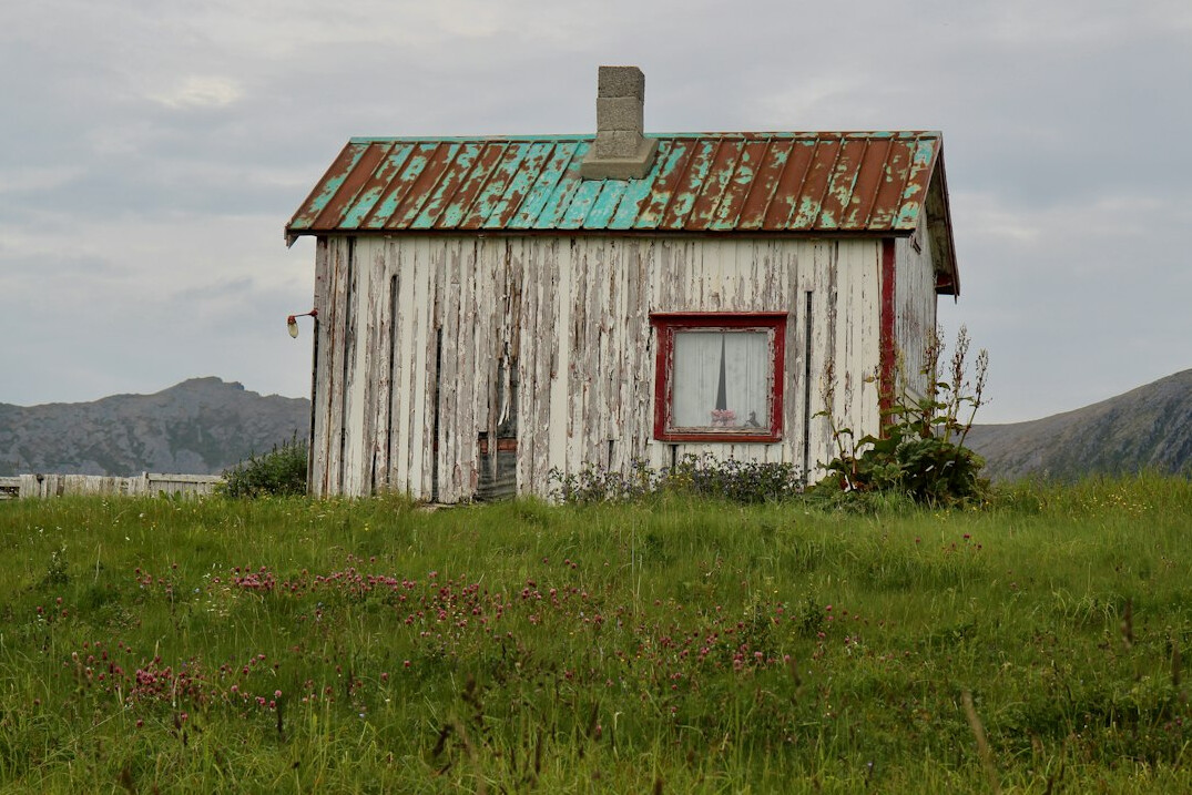 abandoned old shed